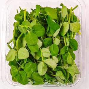 Pea Shoots