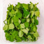 Pea Shoots