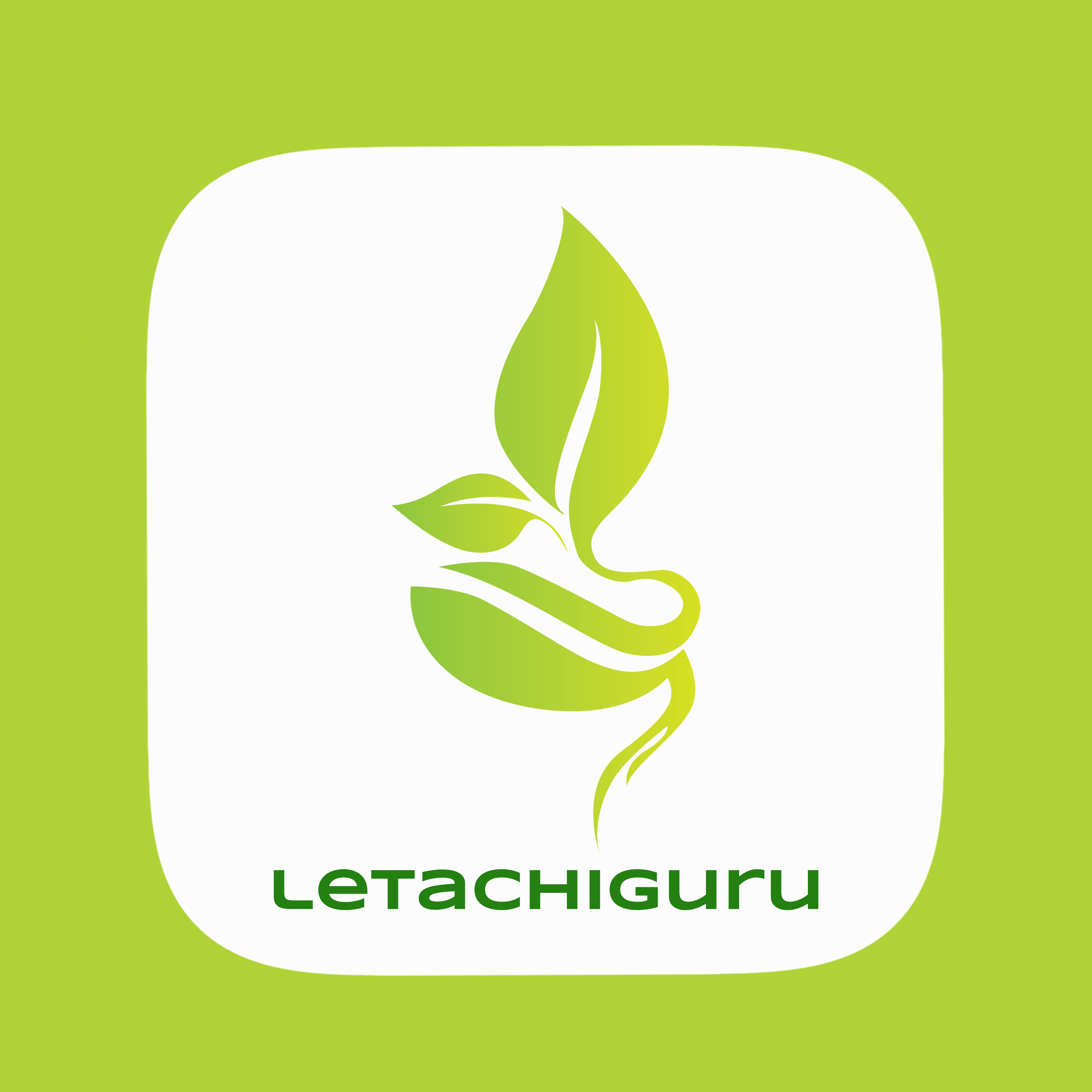 Letachiguru