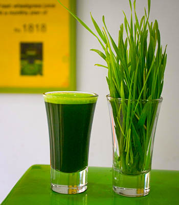 wheatgrassJuice350x400